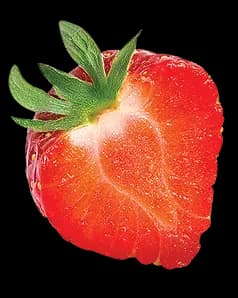 Fresh Strawberry Slice