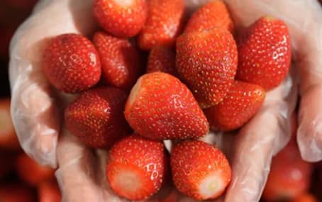 Fresh strawberries held in hands
